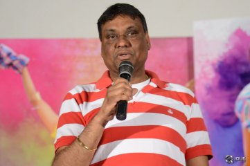 Seethamma Andaalu Raamayya Sithraalu Movie Success Meet